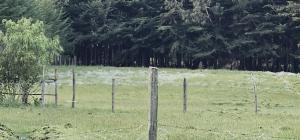 Peaceful Farm House facing the Aberdares