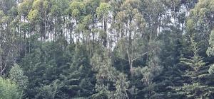 Peaceful Farm House facing the Aberdares