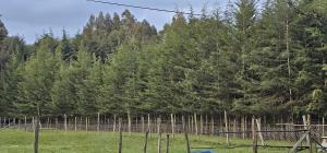 Peaceful Farm House facing the Aberdares