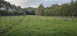 Peaceful Farm House facing the Aberdares