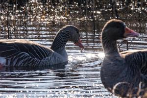 Appartementhaus Bracht - Oase