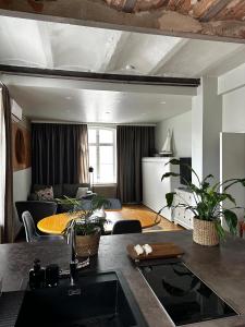 Luxury Apartment in the center