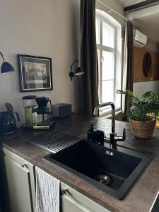 Luxury Apartment in the center