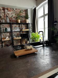 Luxury Apartment in the center