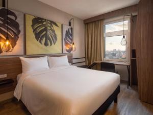 ibis Santa Cruz de la Sierra