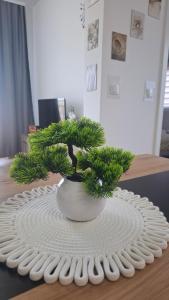 Apartman Srećko Lux