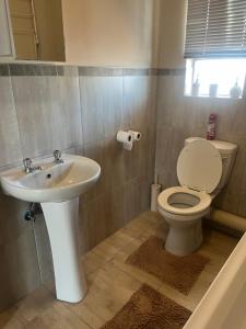 Modern Style Apartments, An Escape From The City