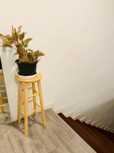 The Local Heritage Loft Mansion