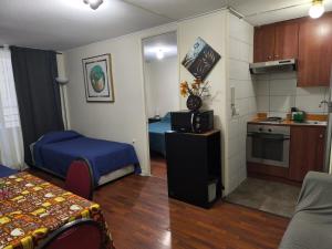 Gran Santiago Apartamentos diarios con living