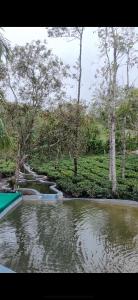 Four Winds Plantation Homestay Approved by Dept of Tourism Govt of Kerala