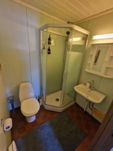 Nice apartment at Golsfjellet