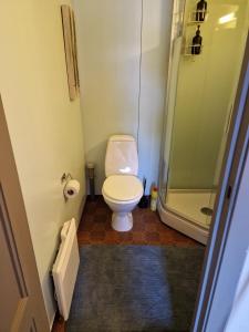 Nice apartment at Golsfjellet