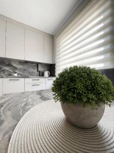 2 Rooms Apartment Naujakiemio str.