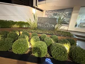 Familiar con terraza privada zona norte