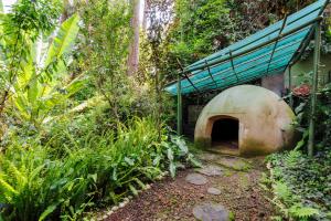 Casa del Rio, Nature Retreat with Temazcal