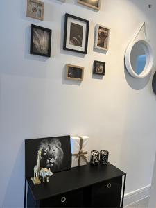 Gabriela Relax Brasov