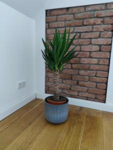 Zentrale Altbau FEWO 2