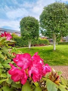 SFERA LUXUSU - piękny widok na góry i prywatny ogrod na dachu