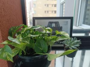 Spacious and confortable apartment near the park