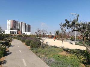 Escapada Perfecta Confort y Relax a Pocos Pasos del Pan de Azúcar