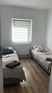 Apartamenty Ścinawa
