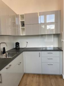 Apartament Rezydencja Worcella by Apartamenty na dni Wrocław