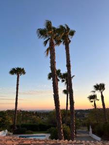 Villa Monte da Torre