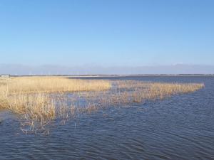 7 person holiday home in Ulfborg-By Traum