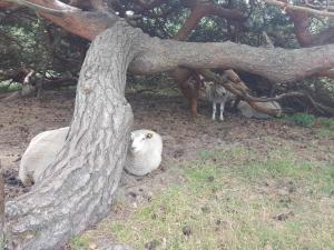 8 person holiday home in Tisvildeleje