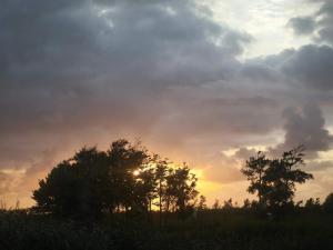 6 person holiday home in Skærbæk-By Traum