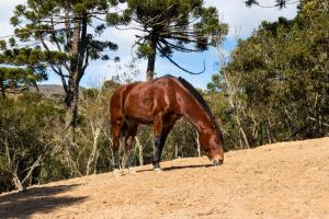 Rancho Chapaval Chalet Ponei