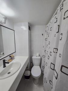 Departamento moderno Santiago Centro con vista