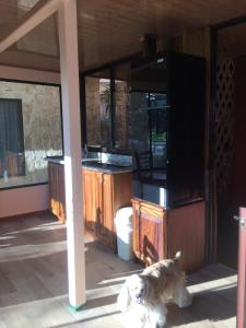 Private studio surrounded by nature