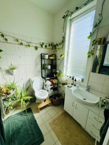 Rainforest Sanctuary