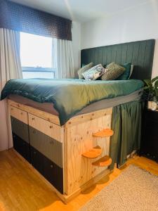 Rainforest Sanctuary