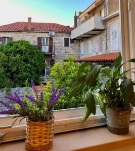 Apartments by the sea Postira, Brac - 24897