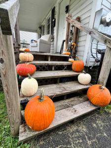 Cozy apartment Liverpool NY