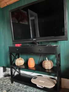 Cozy apartment Liverpool NY