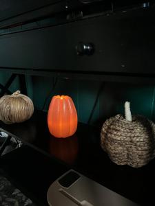 Cozy apartment Liverpool NY