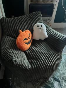 Cozy apartment Liverpool NY