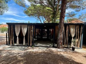 Apartments with parking space Pakostane, Biograd - 24764