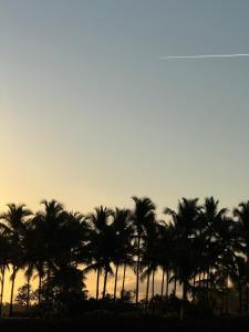 Nomad Beach House - Pousada em Maraú