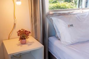 Studio Laguna com vista para a Lagoa by Achei