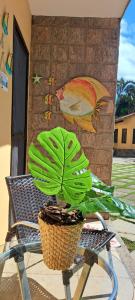 Peró com piscina e conforto!