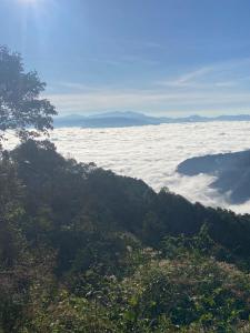 First Nature Homestay