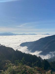 First Nature Homestay