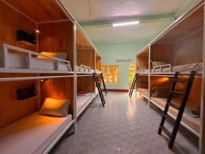 Social Backpacker Hostel & Rooftop Bar