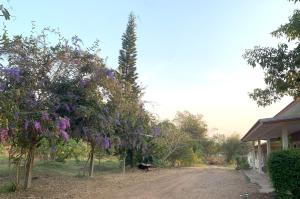 Baan Suan Thada Thai บ้านสวนธาดา ไทย