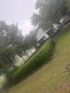 2 Bedroom Beautiful Luxury Apartment In A Quiet Neighborhood 7 Minutes Away From Ben Hill Griffin Stadium !