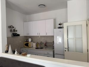 Apartman u Pašićevoj